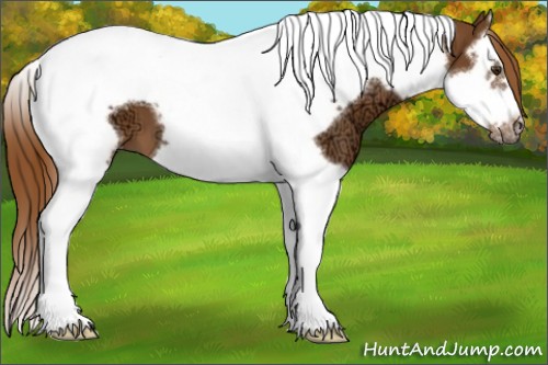 Horse Color:Chestnut Ice Splash Tobiano Frame