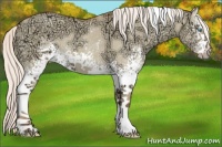 Horse Color:White Spotted Silver Classic Champagne Ice Dun Tobiano 