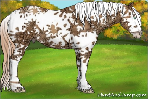 Horse Color:White Spotted Gold Champagne Ice Splash 