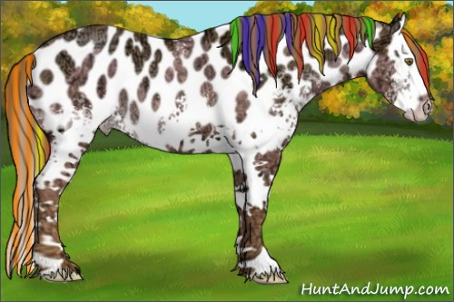 Horse Color:Painted White Spotted Liver Chestnut Ice Pearl Splash Near Leopard Rabicano