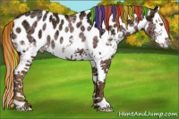 Horse Color:Painted White Spotted Liver Chestnut Ice Pearl Splash Near Leopard Rabicano