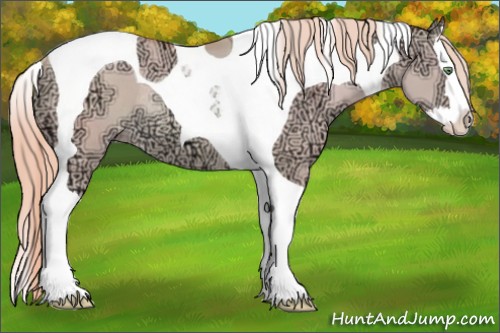Horse Color:Gold Champagne Ice Dun Splash Tobiano Rabicano