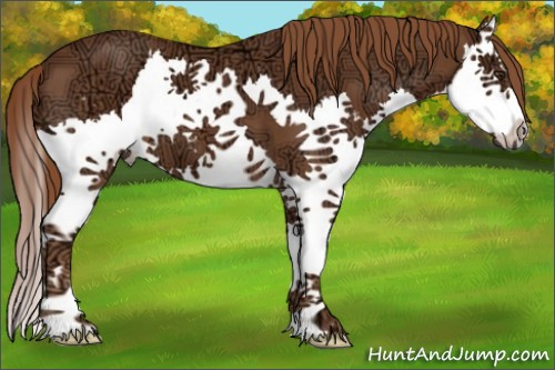 Horse Color:White Spotted Chestnut Ice Splash 