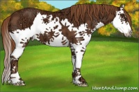 Horse Color:White Spotted Chestnut Ice Splash