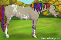 Horse Color:Gray Painted White Spotted Classic Cream Champagne Dun Tobiano Appaloosa 