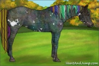 Horse Color:Painted White Spotted Midnight Liver Red Dun Ice Rabicano