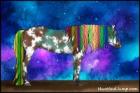 Horse Color:Painted White Spotted Liver Chestnut 