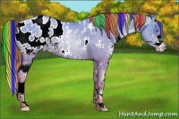 Horse Color:Painted White Spotted Amber Cream Champagne Pearl Splash Appaloosa Rabicano 