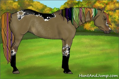 Horse Color:Gray Painted Liver Red Dun Tobiano Rabicano