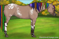 Horse Color:Gray Painted White Spotted Liver Red Dun Tobiano Appaloosa Rabicano 