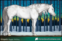 Horse Color:White Spotted Brown Dun Sabino Splash Varnish Brindle 