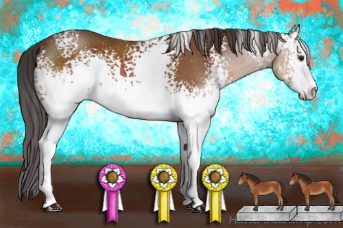 Horse Color:White Spotted Bay Sabino