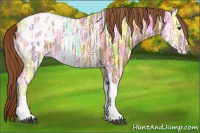 Horse Color:Chestnut Ice Tobiano Appaloosa 