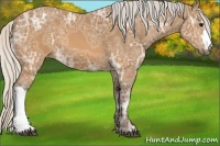 Horse Color:Silver Buckskin Ice 