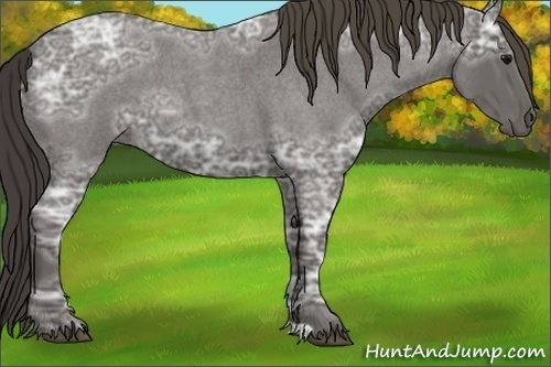 Horse Color:Smoky Blue Ice Roan