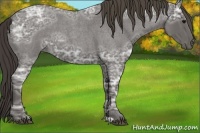 Horse Color:Smoky Blue Ice Roan 