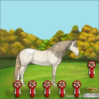 Horse Color:Perlino Dun Snowcap 