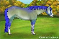 Horse Color:Watercolor Brown Onyx Sabino