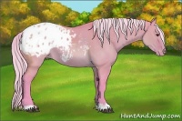 Horse Color:Watercolor Silver Brown Dun Appaloosa 