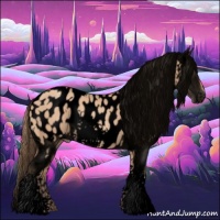 Horse Color:Void White Spotted Gold Champagne Appaloosa