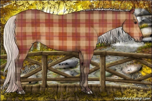 Horse Color:Plaid  Silver Bay 