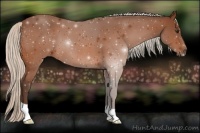 Horse Color:Silver Brown