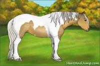Horse Color:Silver Buckskin Tobiano 