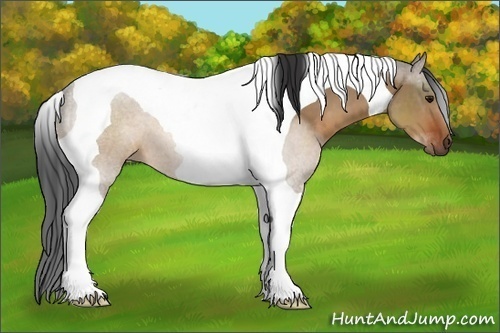 Horse Color:Brown Dun Tobiano 