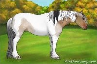 Horse Color:Brown Dun Tobiano