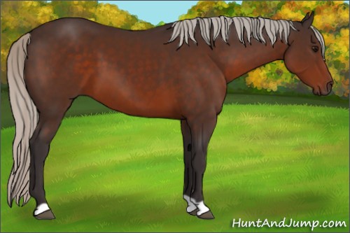 Horse Color:Silver Brown 