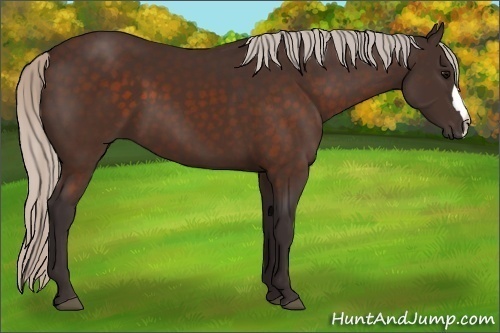 Horse Color:Silver Brown 