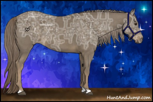 Horse Color:Chocolate Palomino Ice Roan 