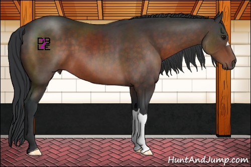 Horse Color:Brown Mushroom 