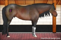 Horse Color:Brown Mushroom 