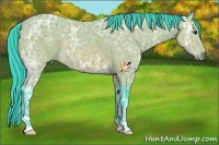 Horse Color:Watercolor Buckskin Ice 