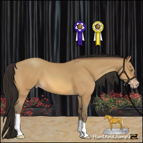 Horse Color:Amber Champagne 