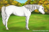 Horse Color:White Spotted Silver Smoky Black Splash