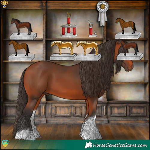 Horse Color:White Spotted Bay