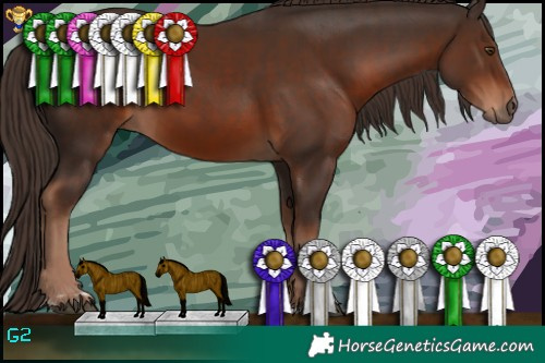 Horse Color:Liver Chestnut  and Liver Chestnut 