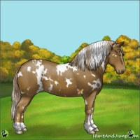 Horse Color:White Spotted Chocolate Palomino 