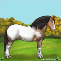Horse Color:White Spotted Sable Champagne Snowcap 