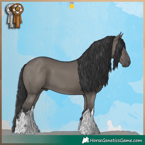 Horse Color:White Spotted Grullo 