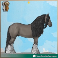 Horse Color:White Spotted Grullo 