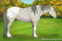 Horse Color:Watercolor Sable Champagne Ice Dun Tobiano Appaloosa