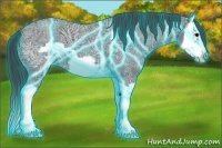 Horse Color:Thunderstruck Blue Ice Roan Splash Frame Varnish 