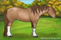 Horse Color:Brown Pearl 