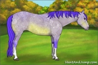 Horse Color:Watercolor Bay Ice 
