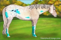 Horse Color:Silver Amber Champagne Ice Onyx 