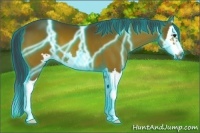 Horse Color:Thunderstruck Brown Splash Frame 