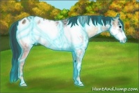 Horse Color:Thunderstruck Plaid Brown Ice Onyx Frame Appaloosa